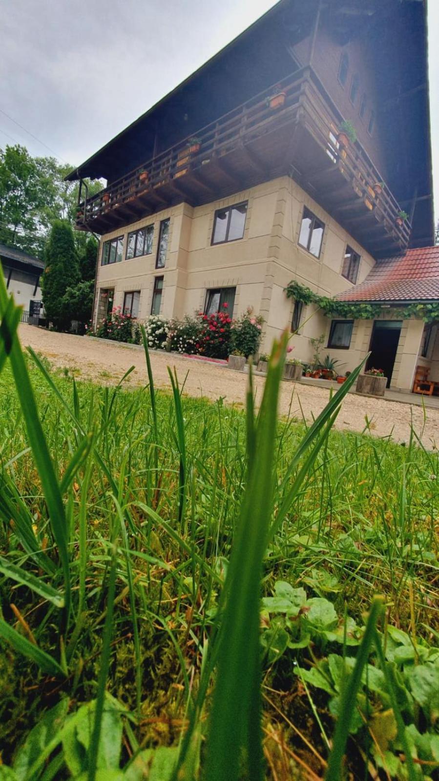 Pensiunea Belvedere 브란 외부 사진