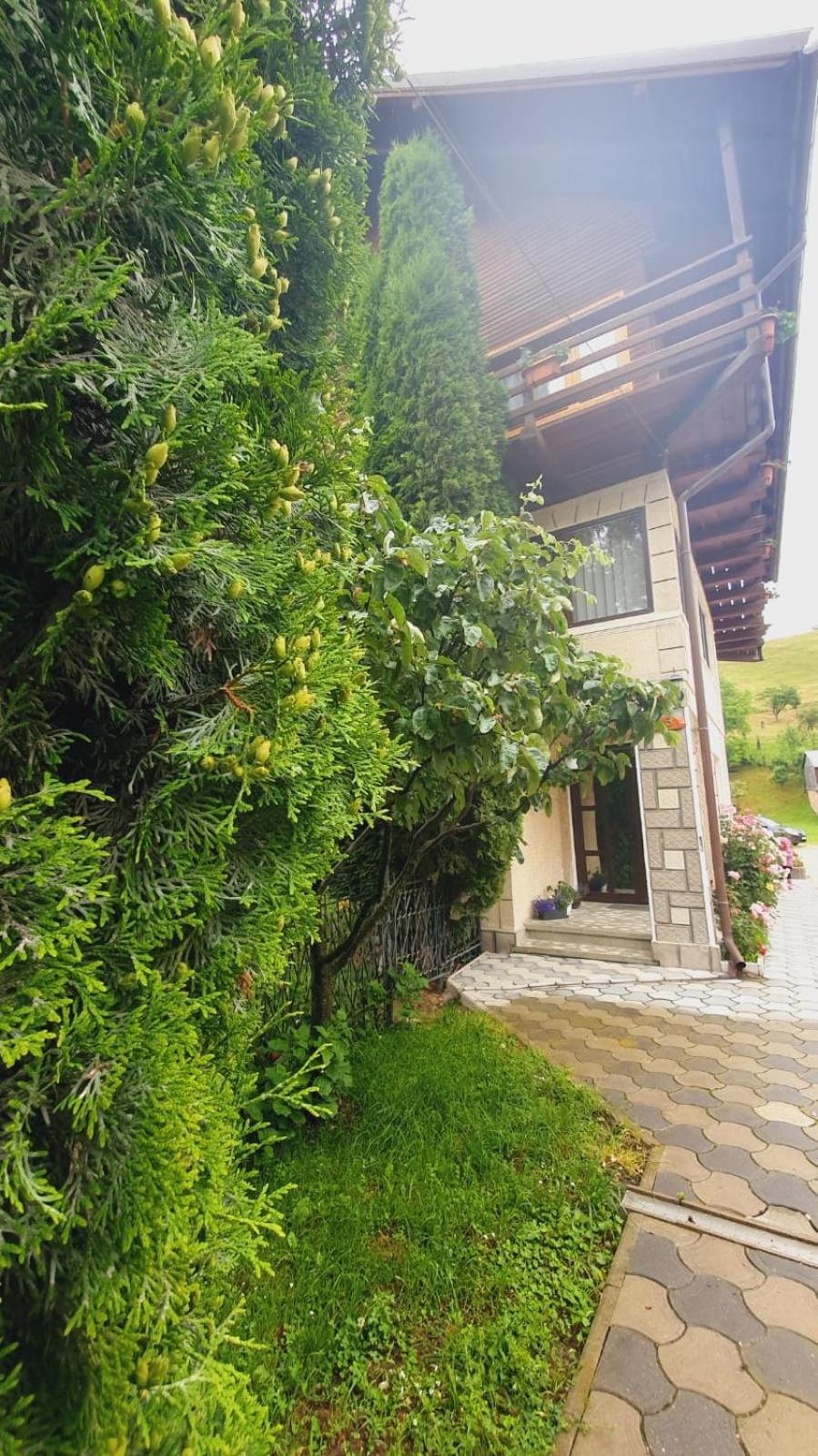 Pensiunea Belvedere 브란 외부 사진